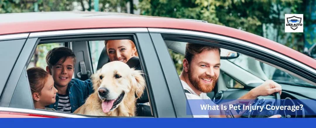 What Is Pet Injury Coverage What Is Pet Injury Coverage